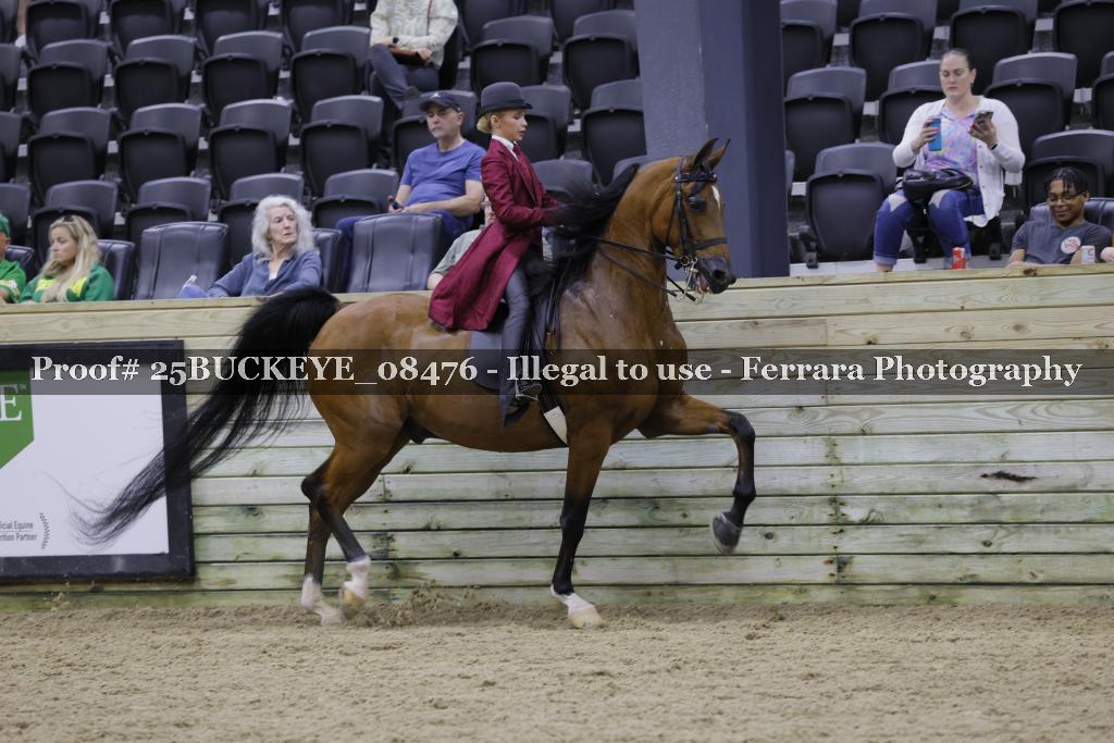 Proof Number 25BUCKEYE_08476