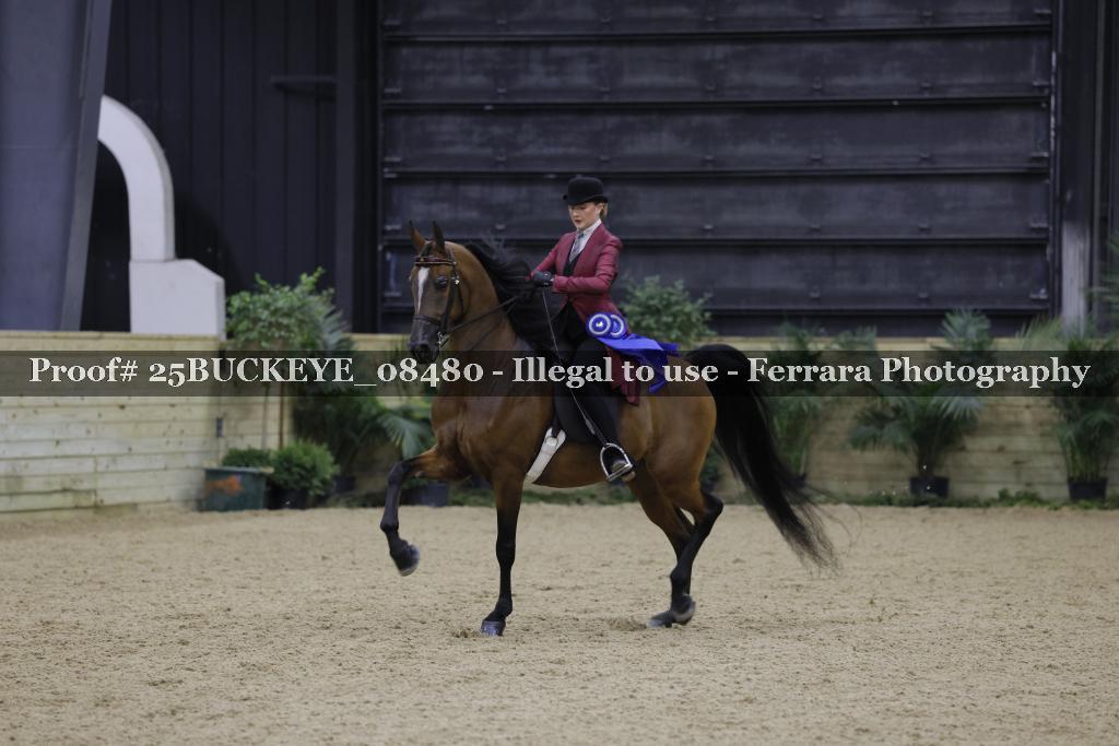 Proof Number 25BUCKEYE_08480