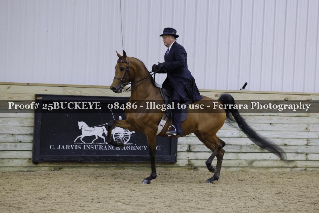 Proof Number 25BUCKEYE_08486
