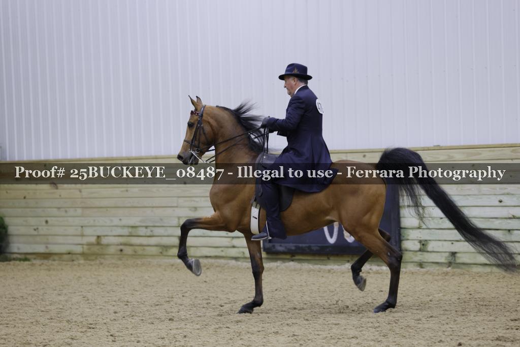 Proof Number 25BUCKEYE_08487