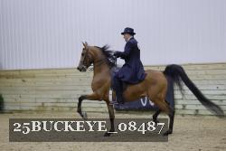 25BUCKEYE_08487 thumbnail
