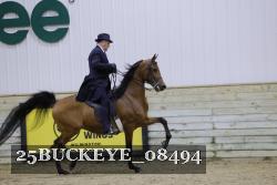 25BUCKEYE_08494 thumbnail