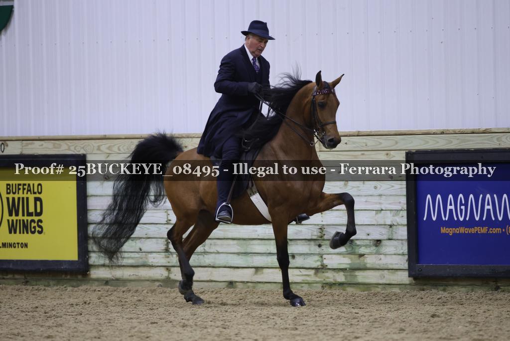 Proof Number 25BUCKEYE_08495