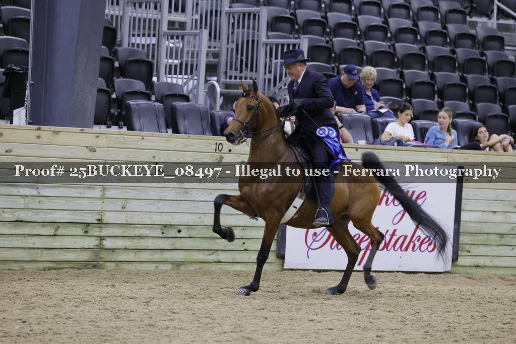 Proof Number 25BUCKEYE_08497