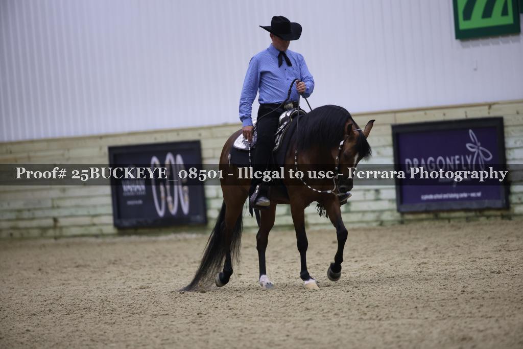 Proof Number 25BUCKEYE_08501