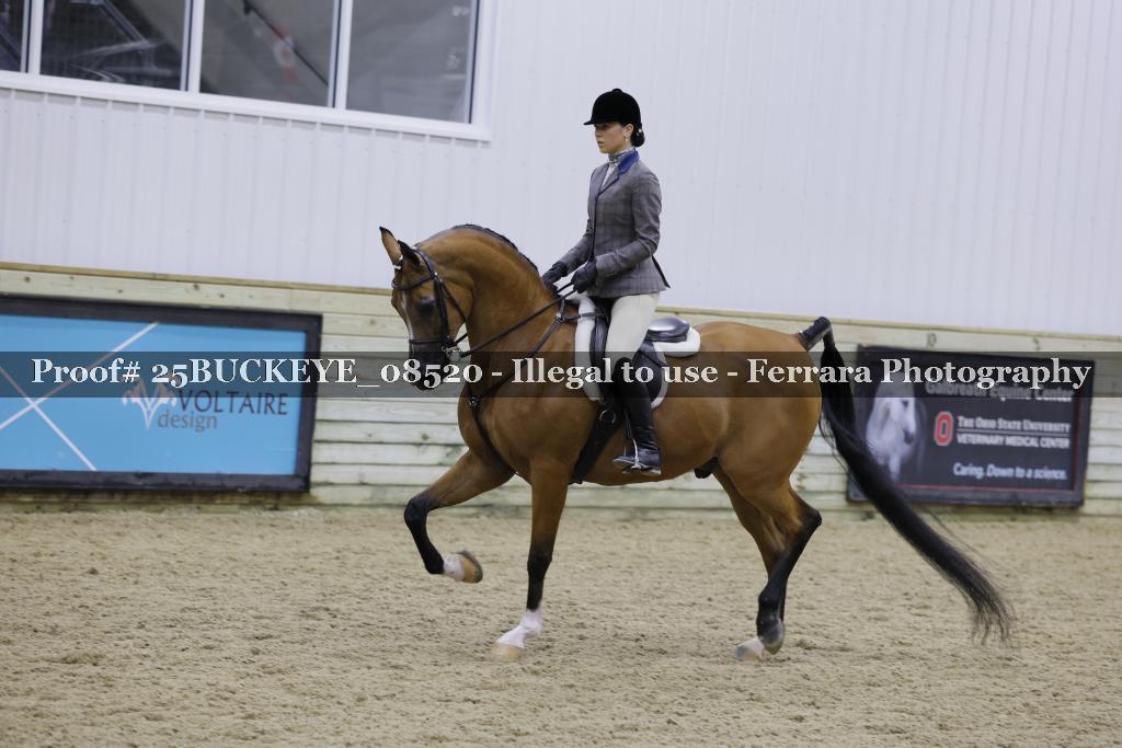Proof Number 25BUCKEYE_08520