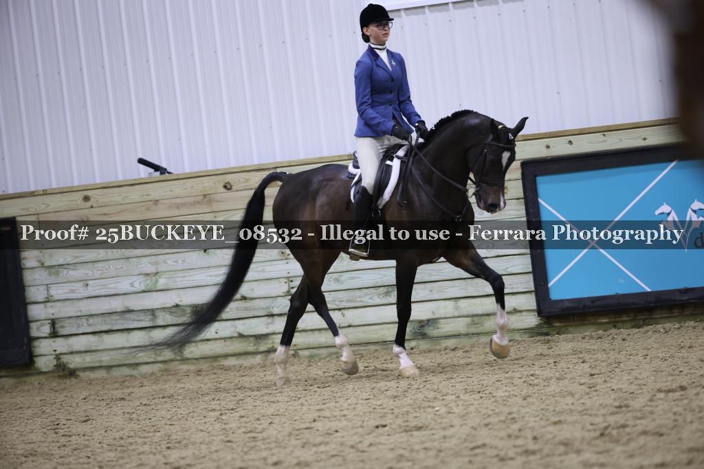 Proof Number 25BUCKEYE_08532