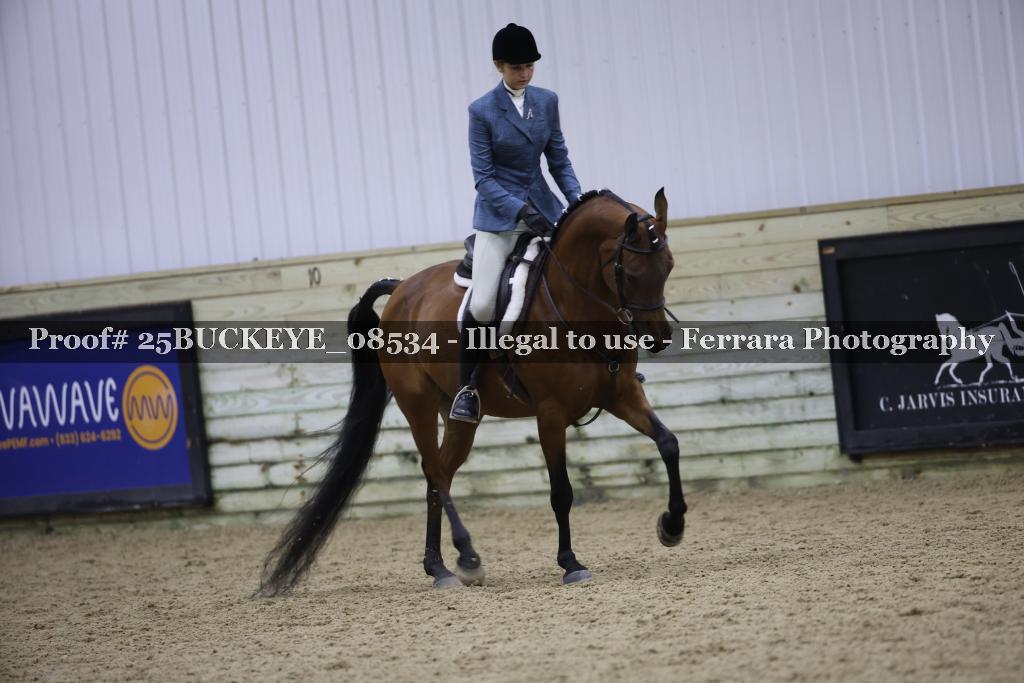 Proof Number 25BUCKEYE_08534