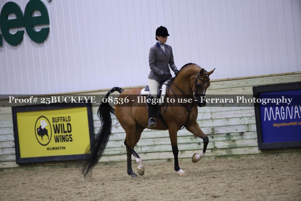 Proof Number 25BUCKEYE_08536