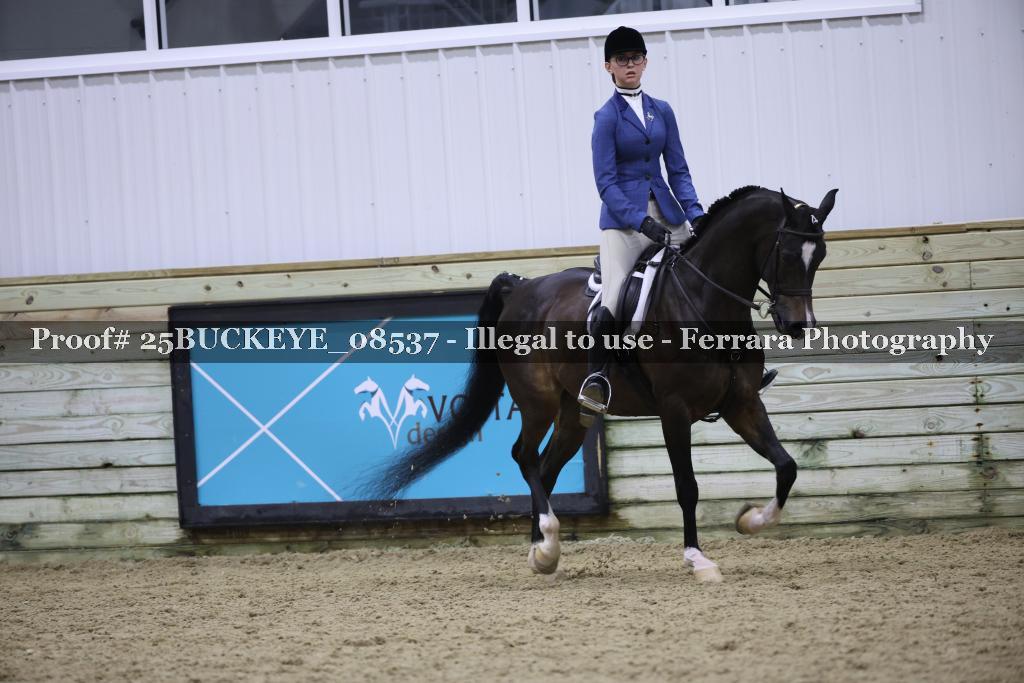 Proof Number 25BUCKEYE_08537