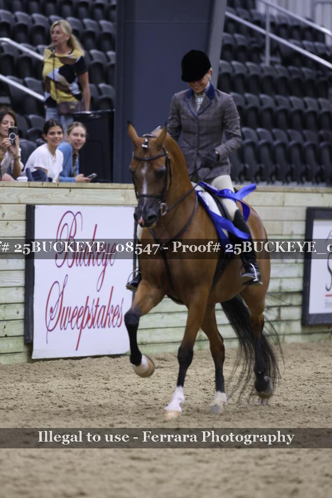 Proof Number 25BUCKEYE_08547