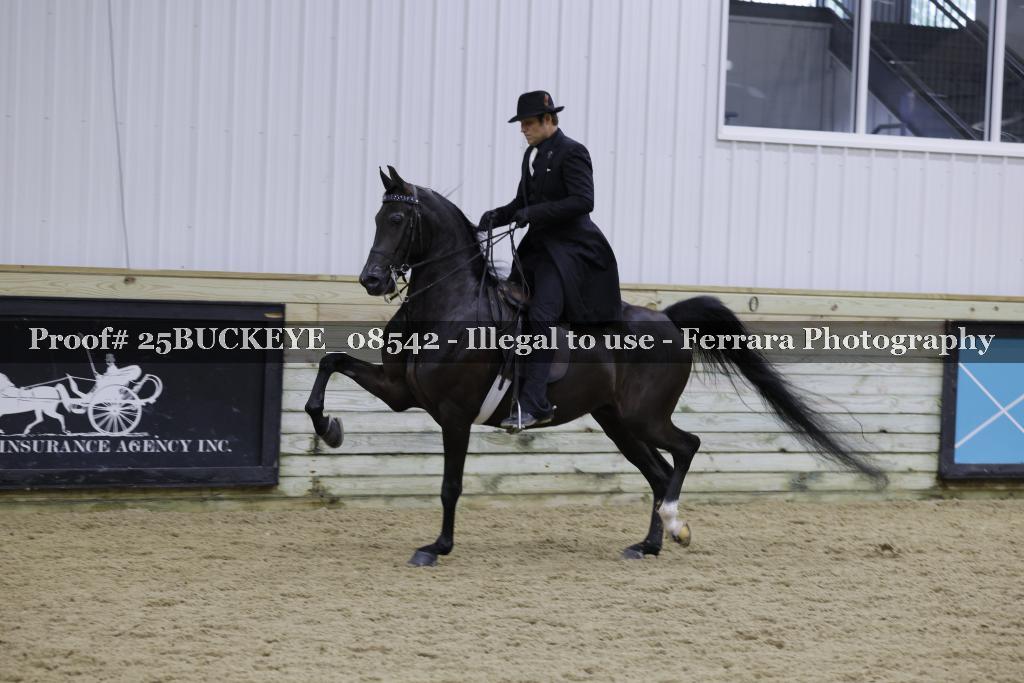 Proof Number 25BUCKEYE_08542