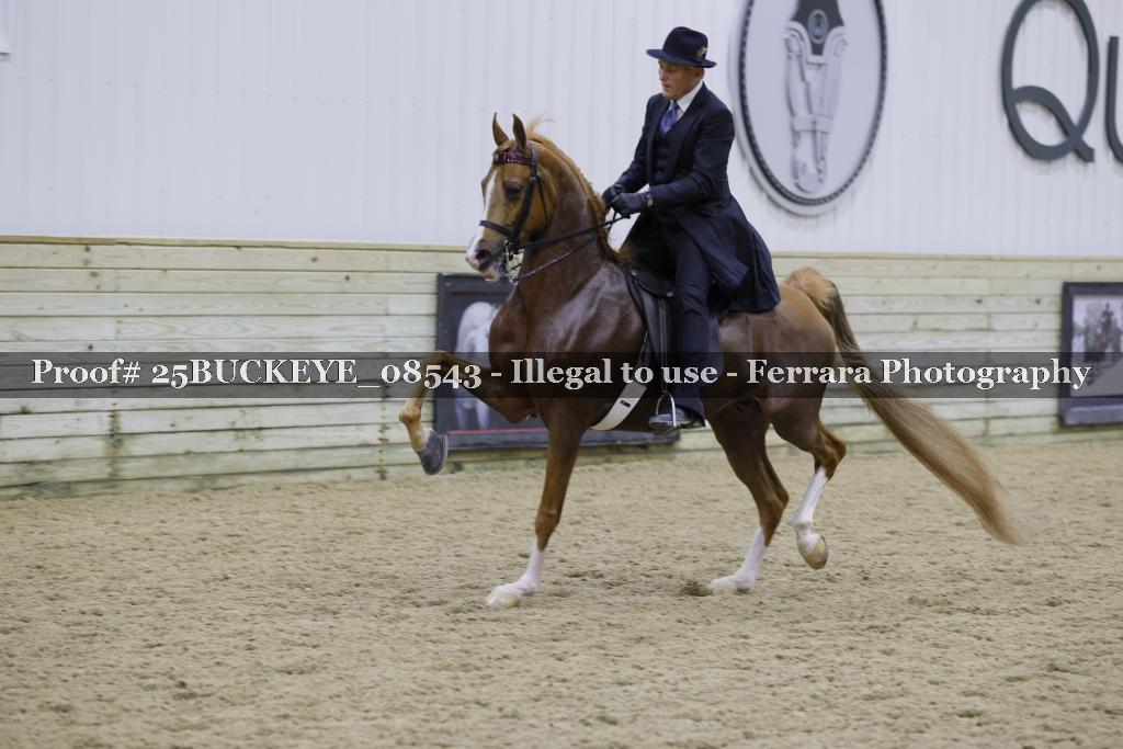 Proof Number 25BUCKEYE_08543