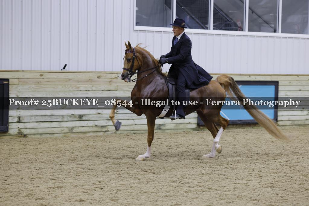 Proof Number 25BUCKEYE_08544