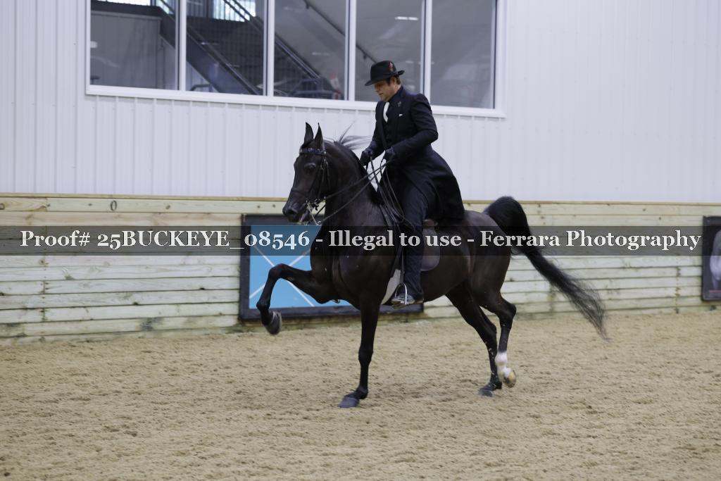 Proof Number 25BUCKEYE_08546