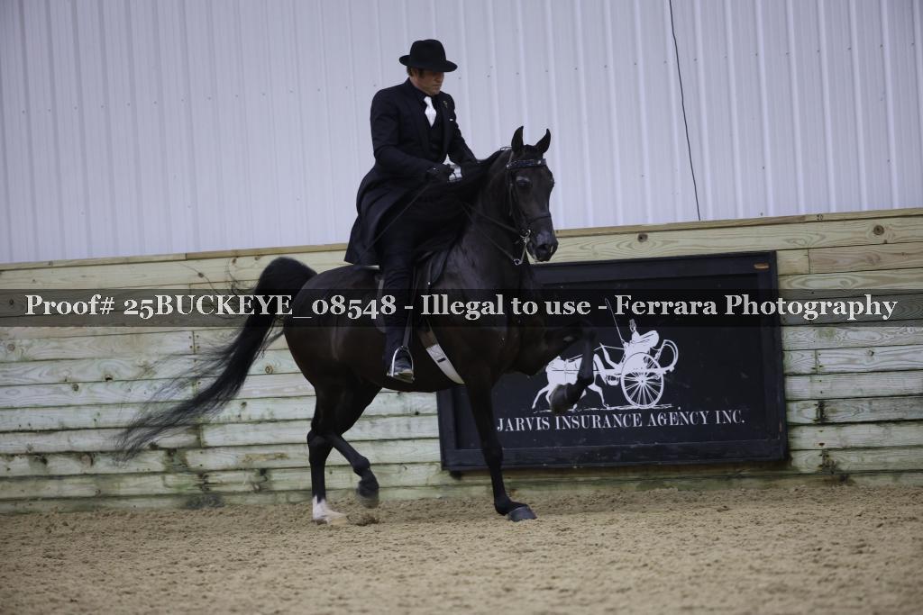 Proof Number 25BUCKEYE_08548