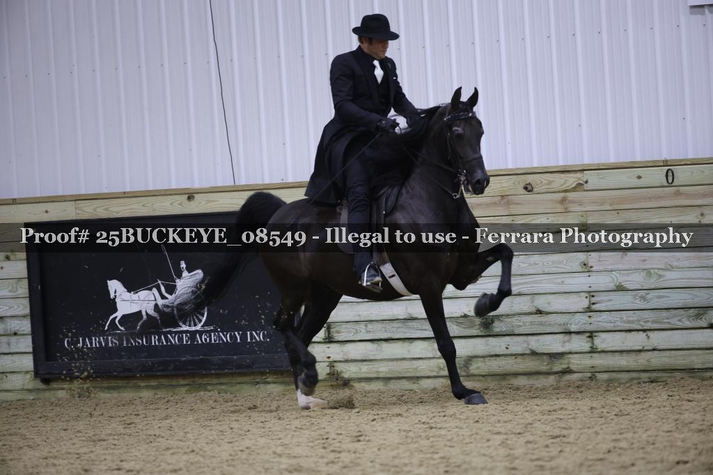 Proof Number 25BUCKEYE_08549