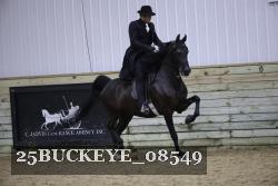 25BUCKEYE_08549 thumbnail