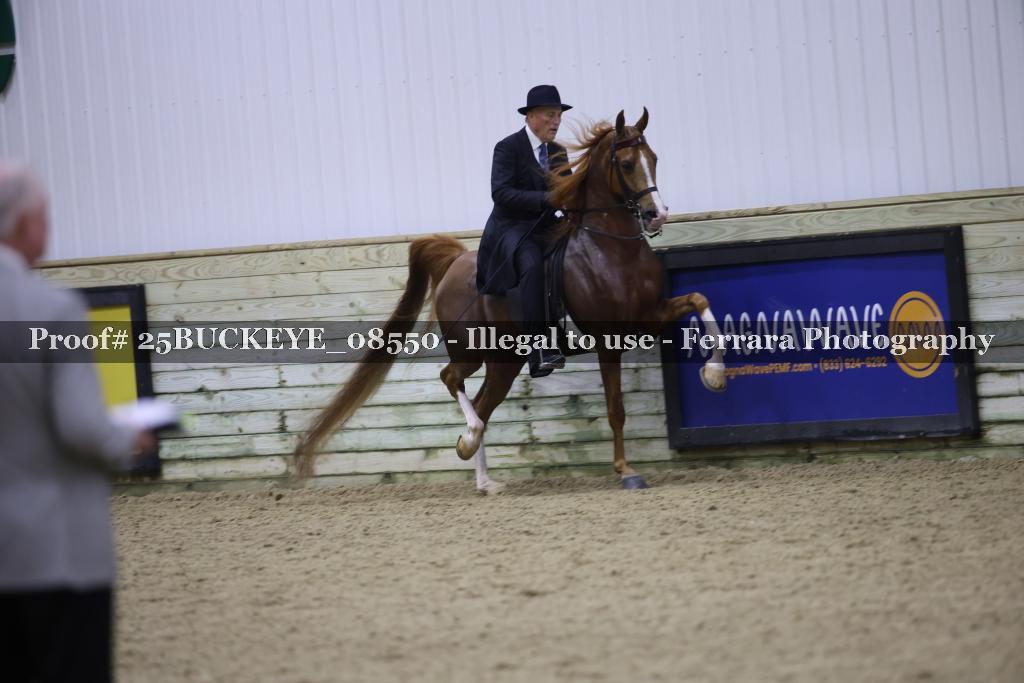 Proof Number 25BUCKEYE_08550
