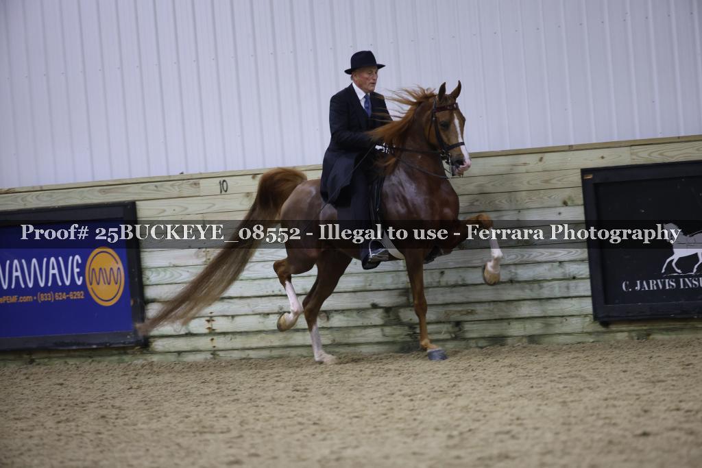Proof Number 25BUCKEYE_08552