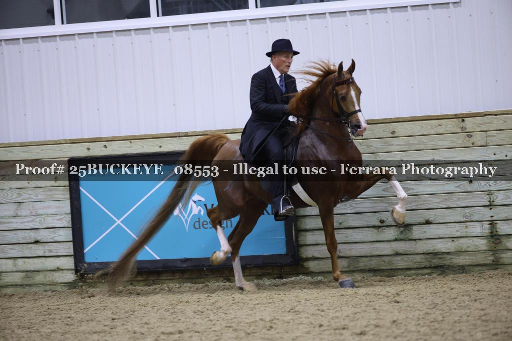 Proof Number 25BUCKEYE_08553