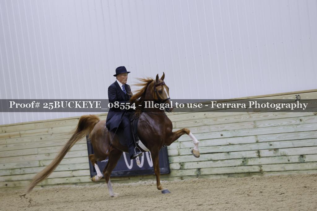 Proof Number 25BUCKEYE_08554