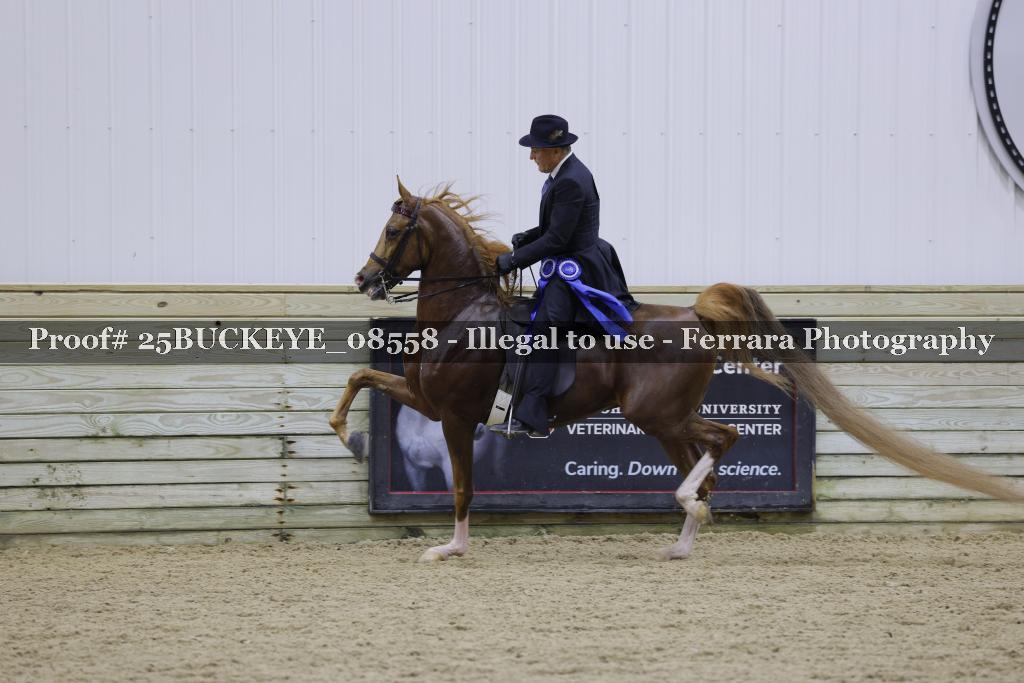 Proof Number 25BUCKEYE_08558