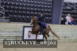 25BUCKEYE_08562 thumbnail