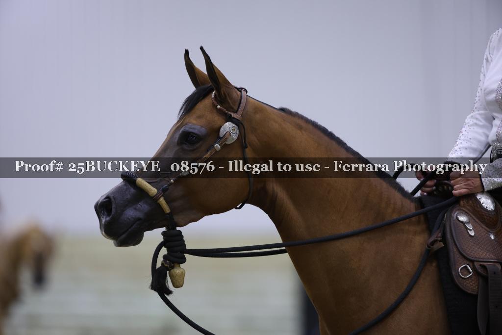 Proof Number 25BUCKEYE_08576