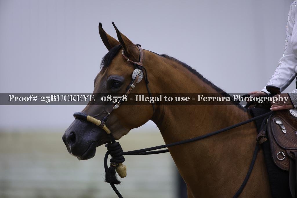 Proof Number 25BUCKEYE_08578