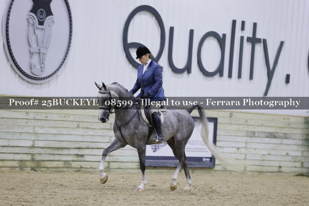 Proof Number 25BUCKEYE_08599