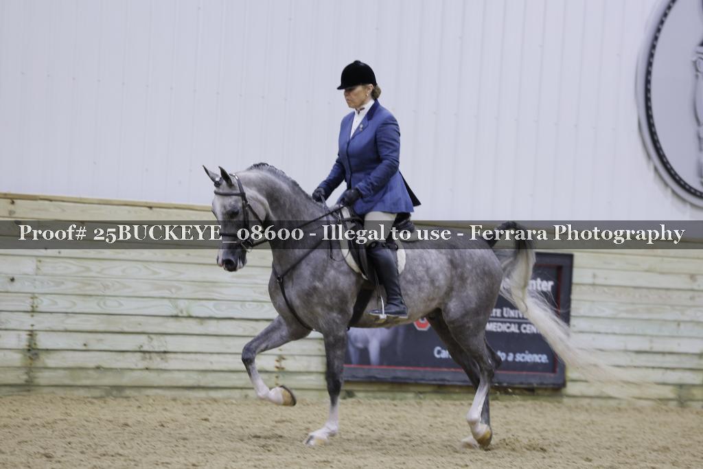 Proof Number 25BUCKEYE_08600