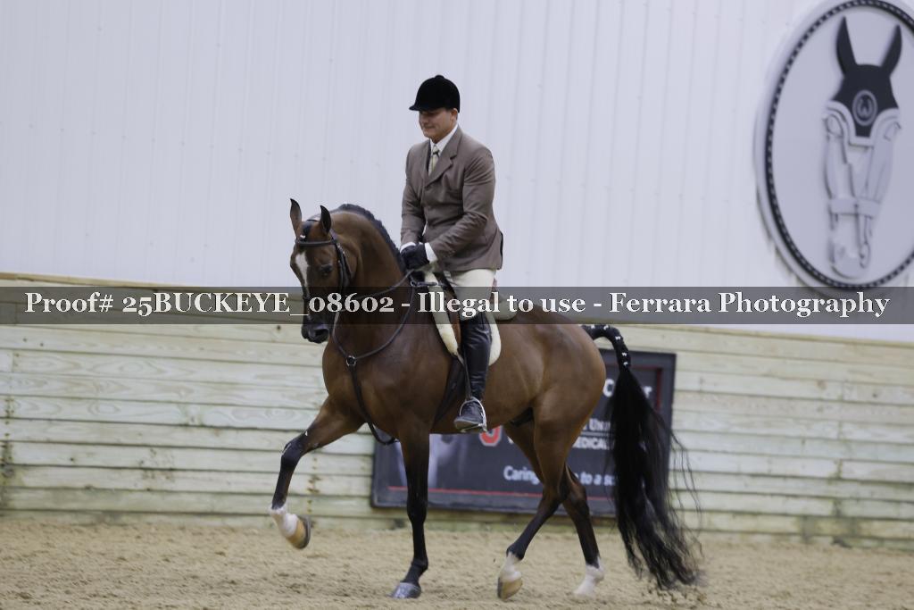 Proof Number 25BUCKEYE_08602