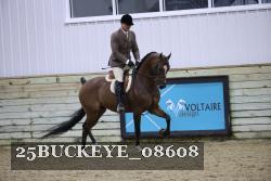 25BUCKEYE_08608 thumbnail