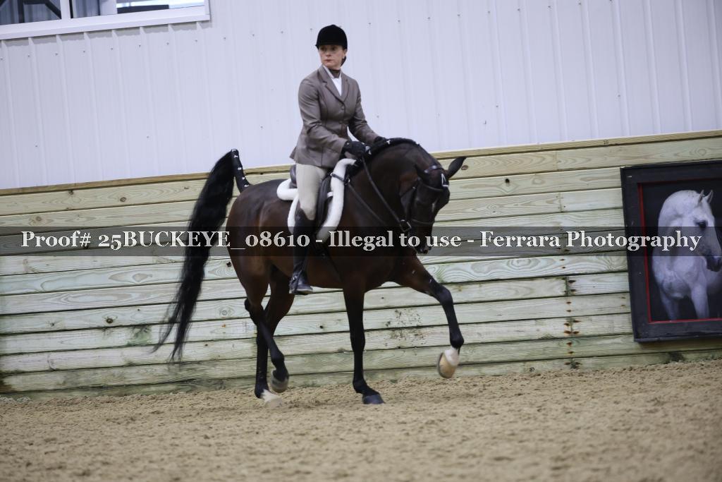 Proof Number 25BUCKEYE_08610