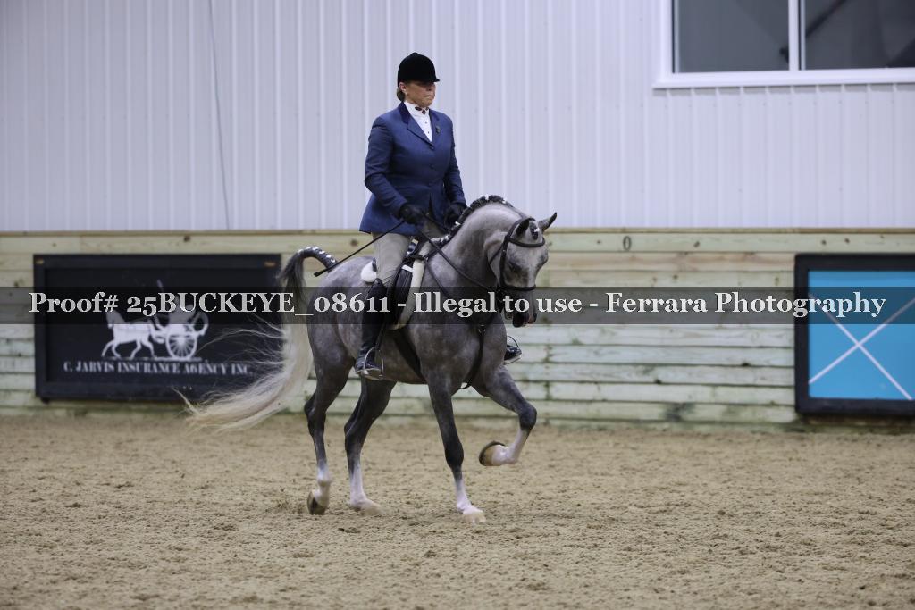 Proof Number 25BUCKEYE_08611