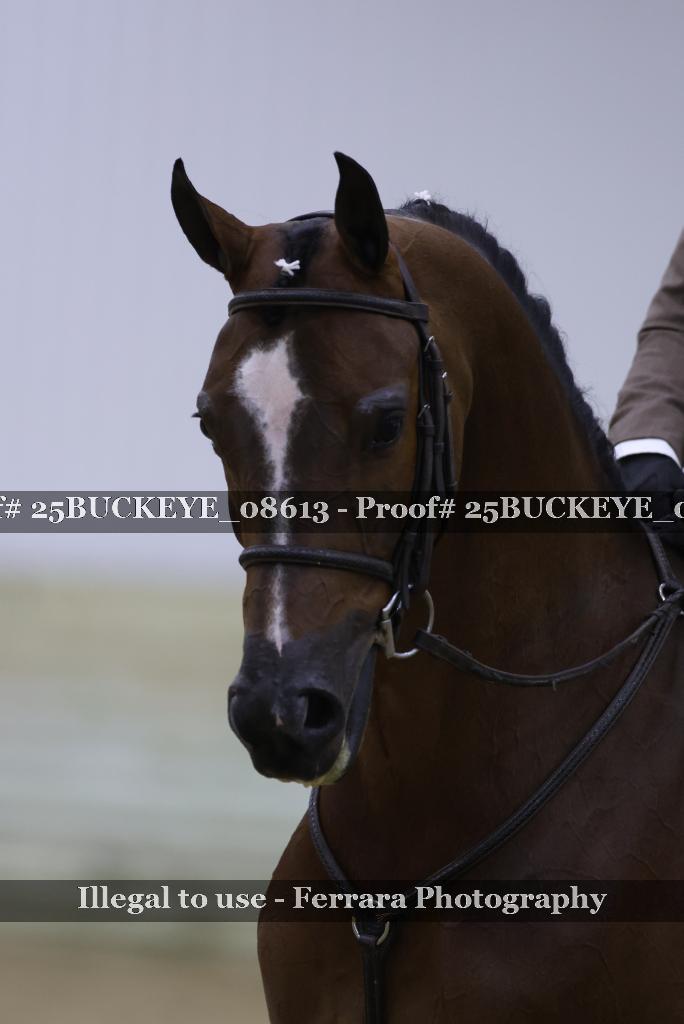 Proof Number 25BUCKEYE_08613