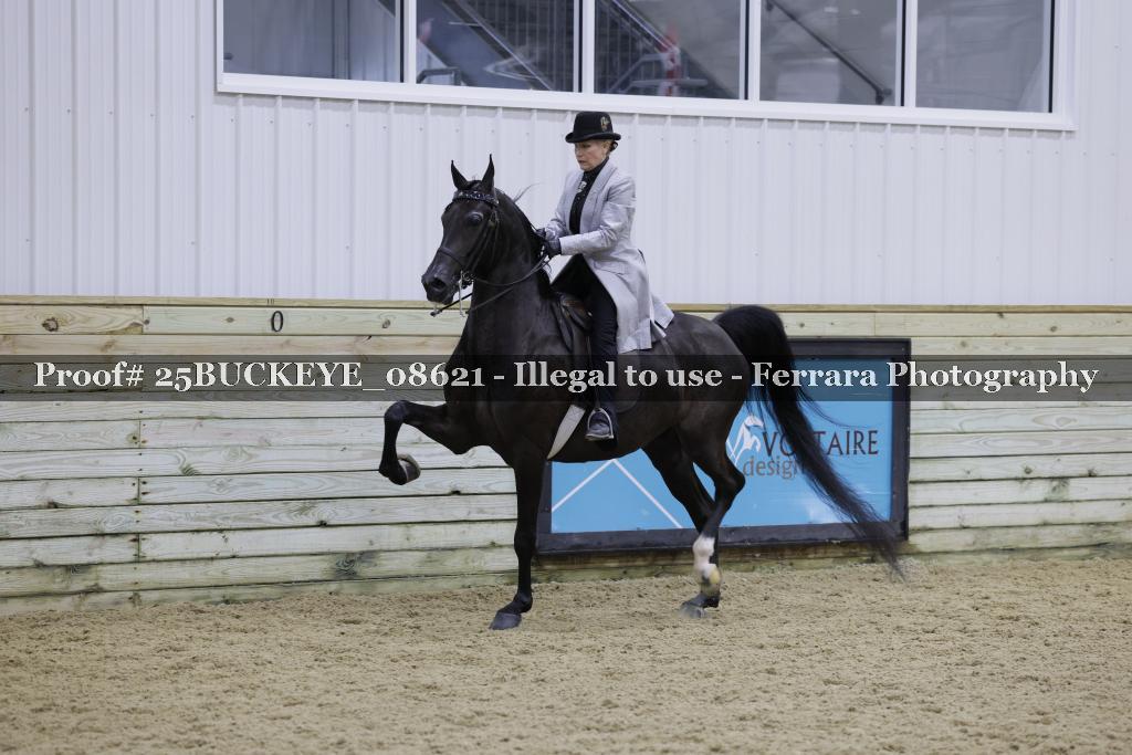 Proof Number 25BUCKEYE_08621