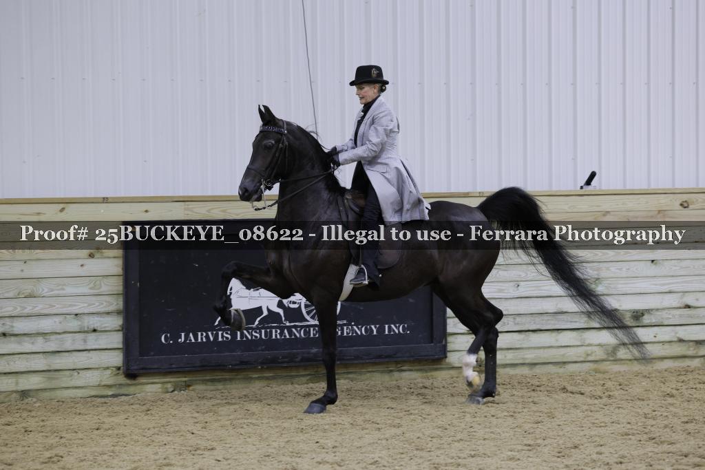 Proof Number 25BUCKEYE_08622