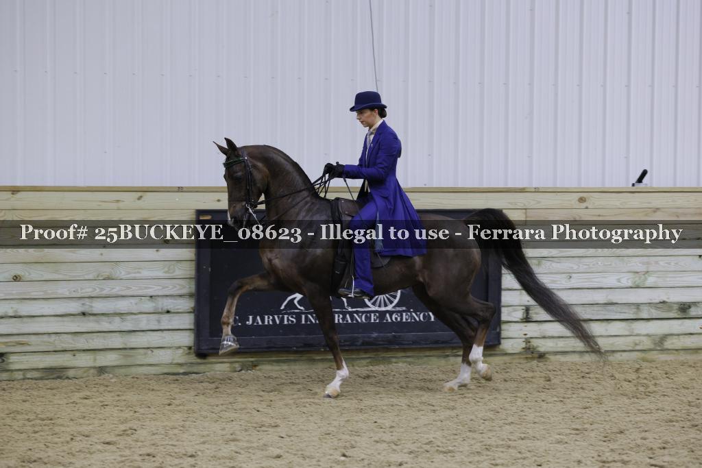 Proof Number 25BUCKEYE_08623