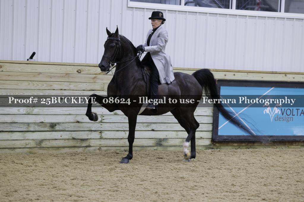 Proof Number 25BUCKEYE_08624