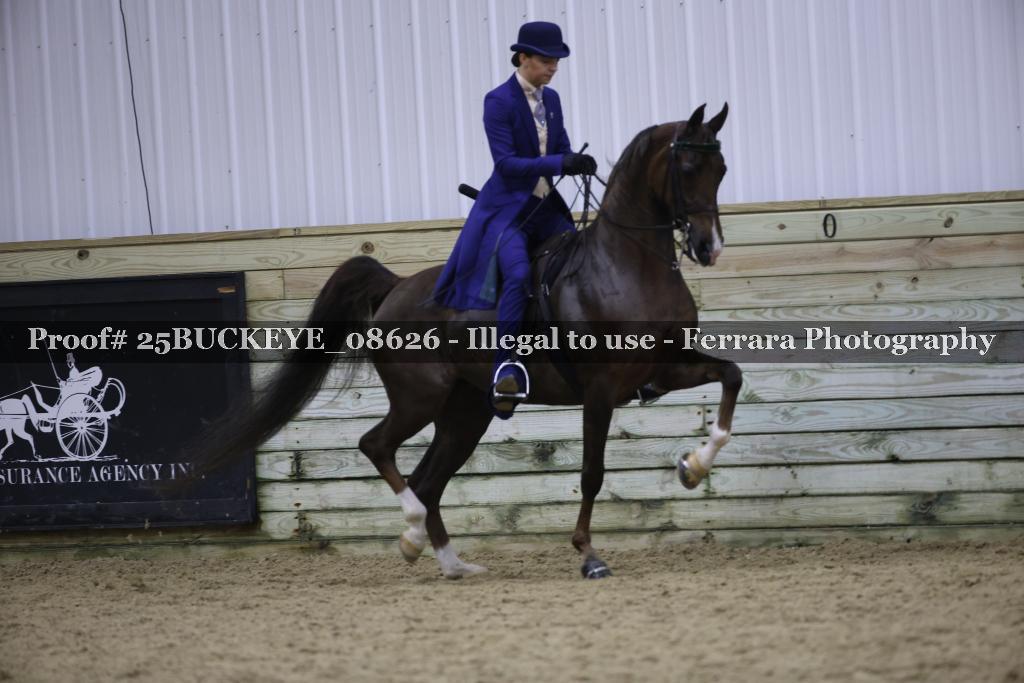 Proof Number 25BUCKEYE_08626