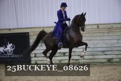 25BUCKEYE_08626 thumbnail