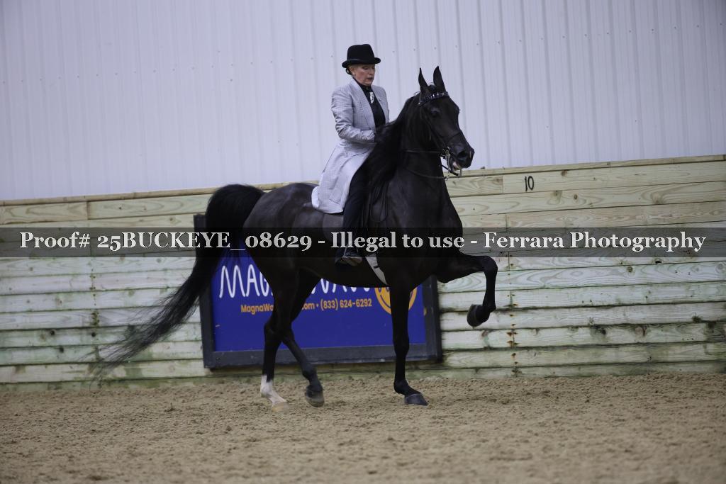 Proof Number 25BUCKEYE_08629