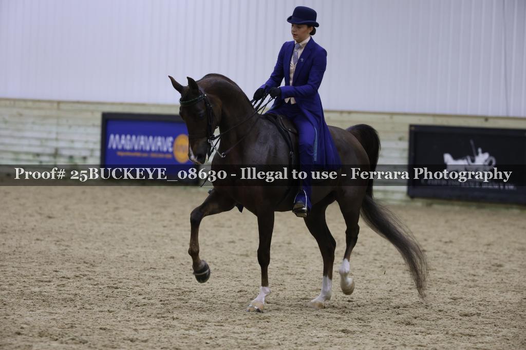 Proof Number 25BUCKEYE_08630