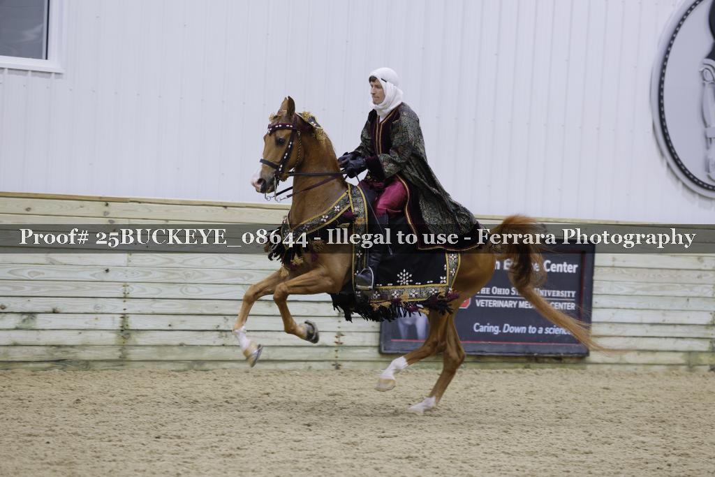 Proof Number 25BUCKEYE_08644