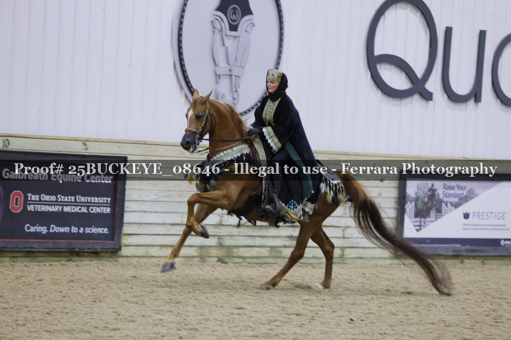 Proof Number 25BUCKEYE_08646