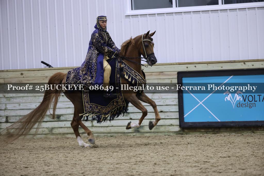 Proof Number 25BUCKEYE_08649