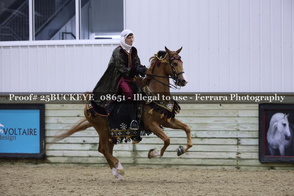 Proof Number 25BUCKEYE_08651