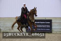 25BUCKEYE_08652 thumbnail